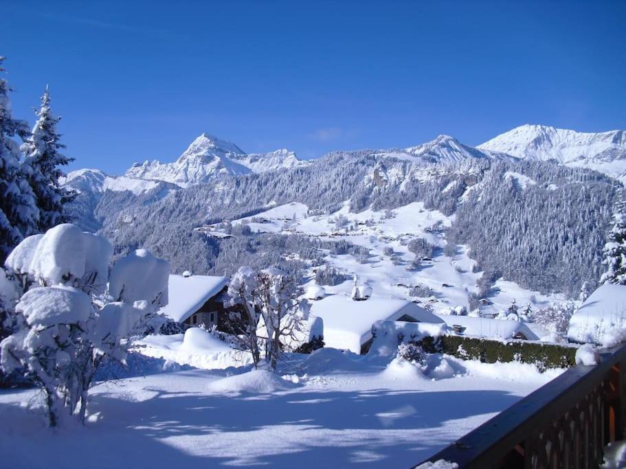 Chalet La Licorne 1 - Pied Des Pistes Нотр-Дам-де-Белькомб Екстер'єр фото